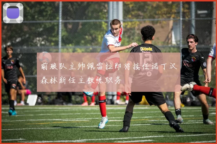 前狼队主帅佩雷拉即将接任诺丁汉森林新任主教练职务